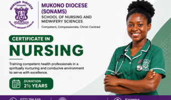 Certificate in Nursing Banner