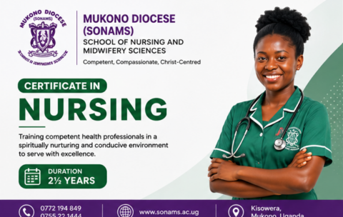 Certificate in Nursing Banner