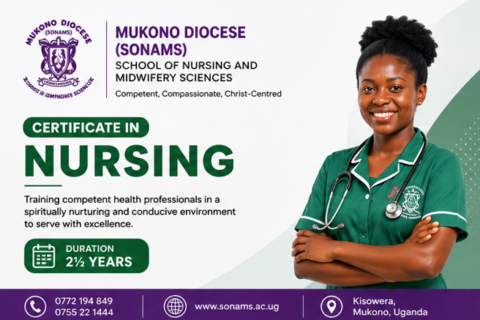 Certificate in Nursing Banner