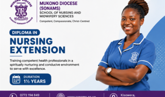 Diploma Nursing Extension Banner