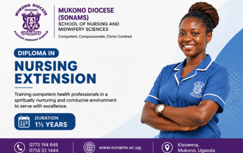 Diploma Nursing Extension Banner