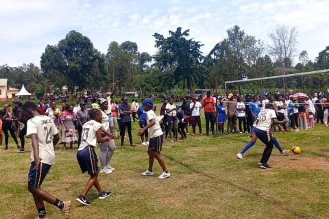 Regional sports