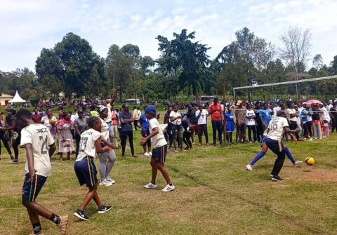 Regional sports