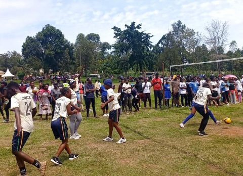 Regional sports